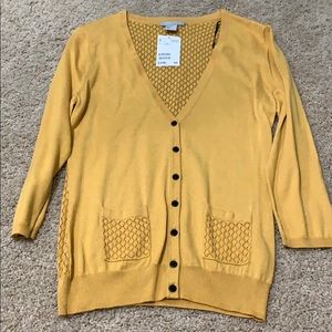 H&M cardigan